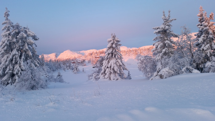 2016-01 Vinter Lifjell